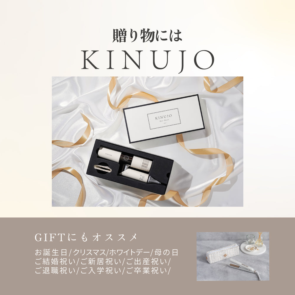 KINUJO キヌージョ ミニアイロン deux