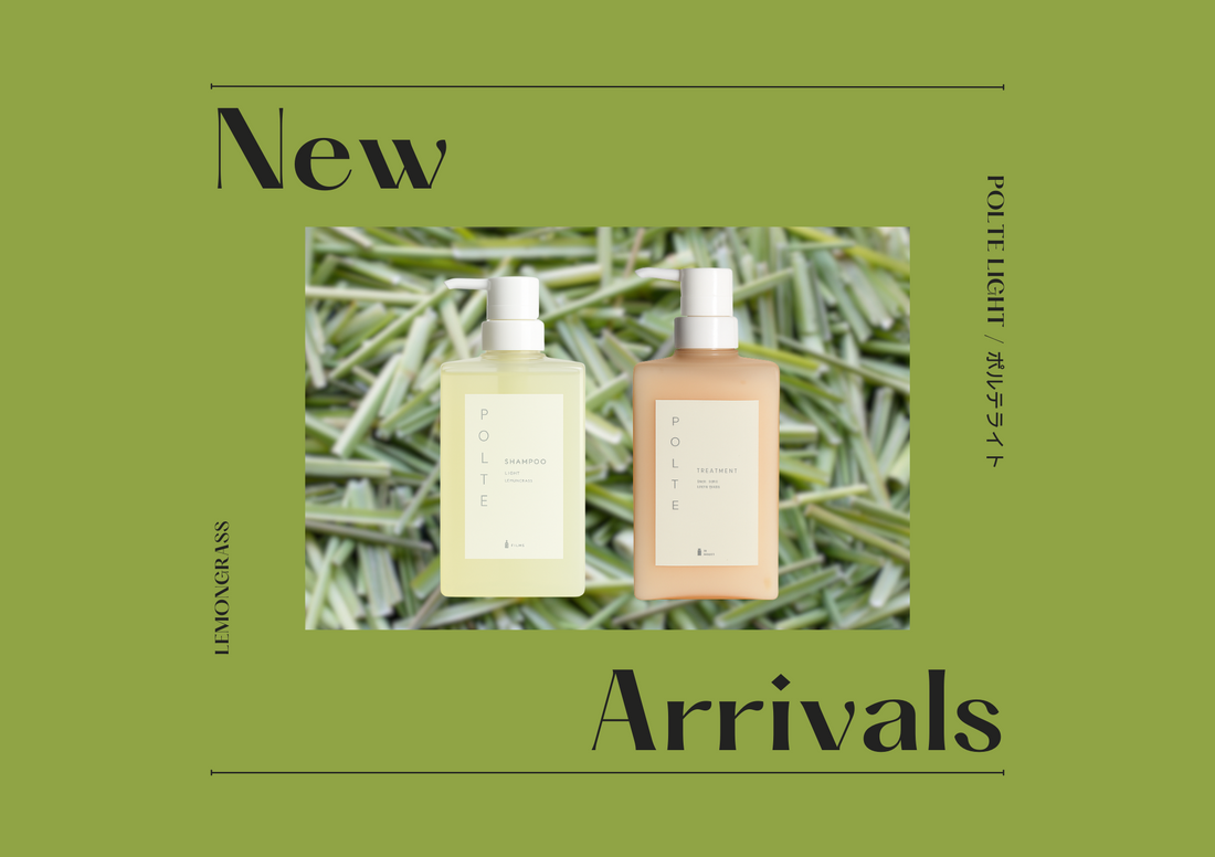 新登場💡POLTE ライト🌱