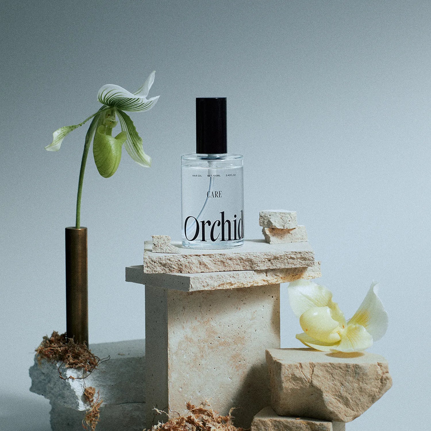 Maison Orchidée / メゾンオルキデ