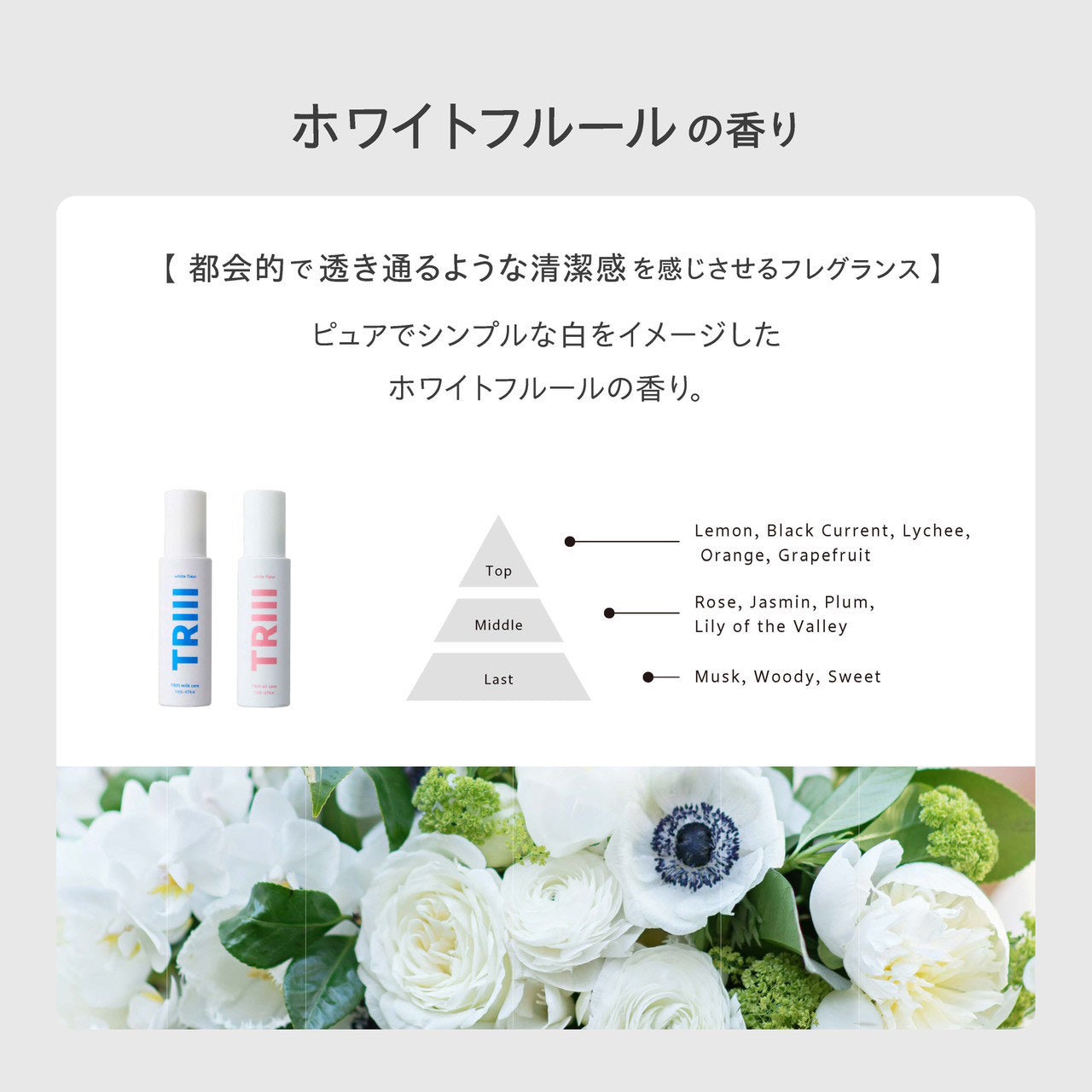 【新商品】TRIII（トリー）オイルケア