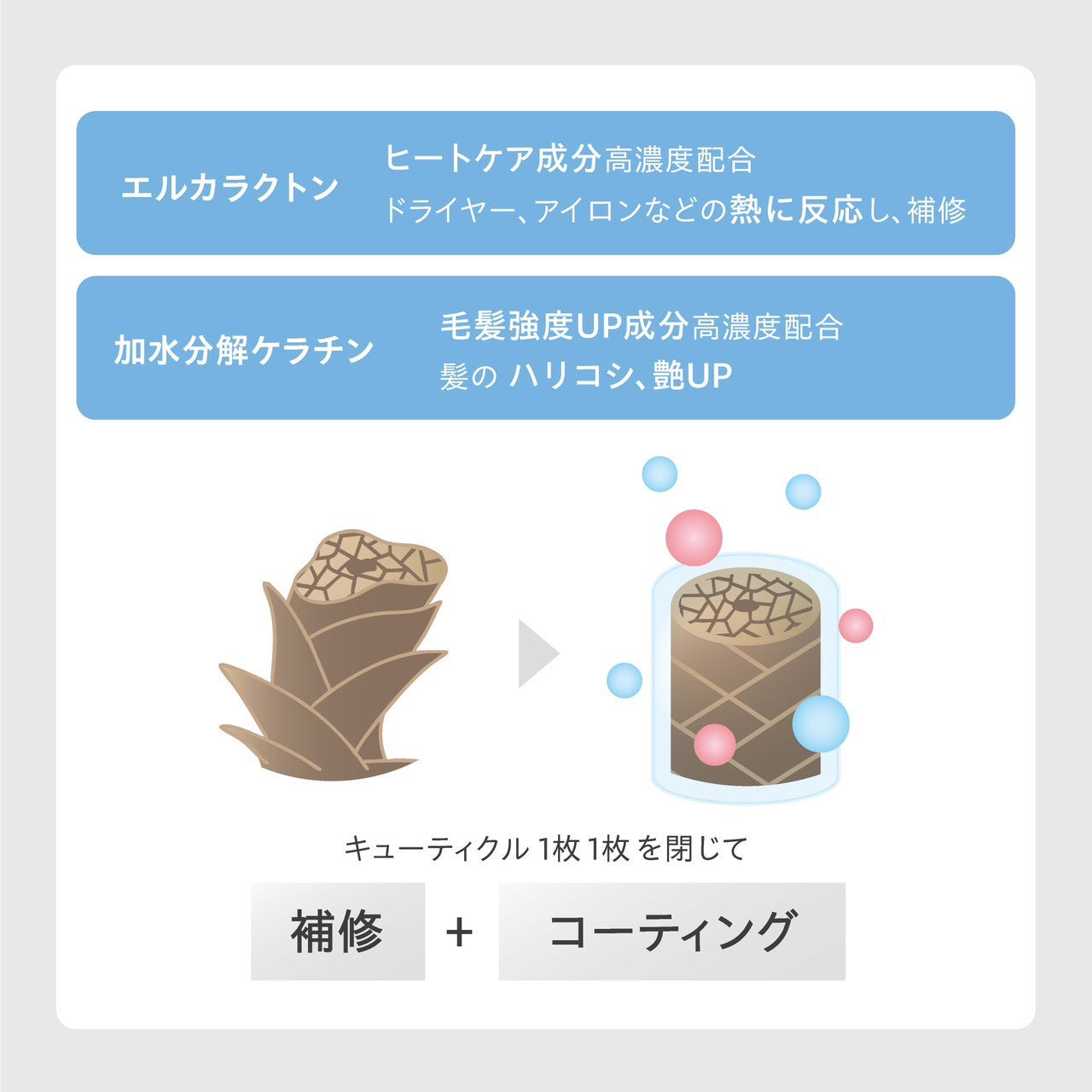 【新商品】TRIII（トリー）オイルケア