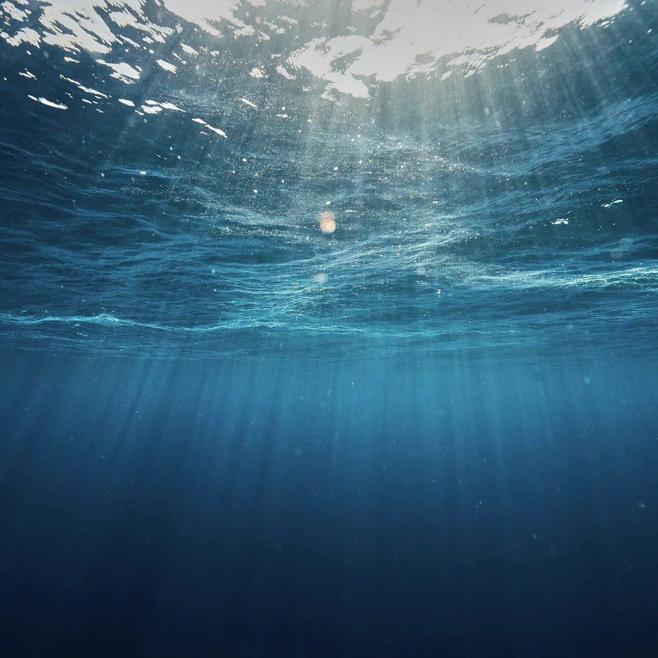 HENRY / ヘンリー REPAIR MASK